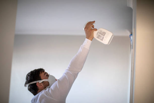 Best Fast Mold Removal  in Lake Pocotopaug, CT